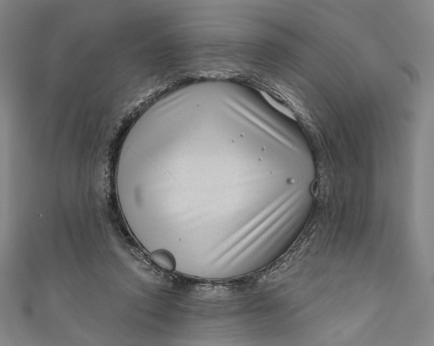 X0000111200354200907221135