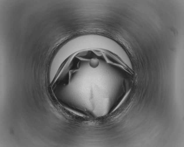 X0000111200356200907221135