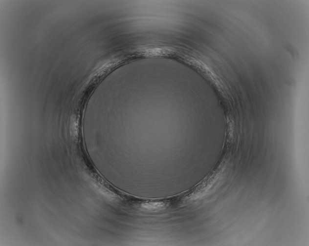 X0000111200357200907221135