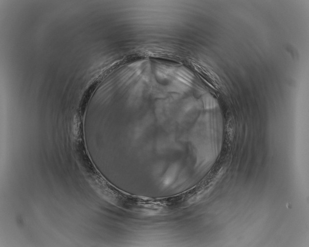 X0000111200359200907221135