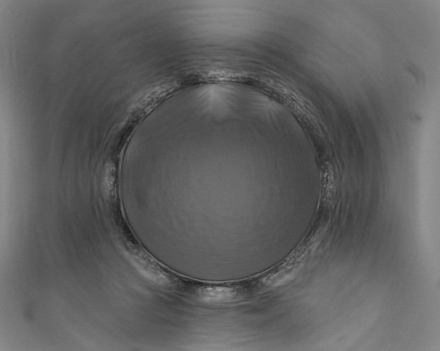 X0000111200361200907221135