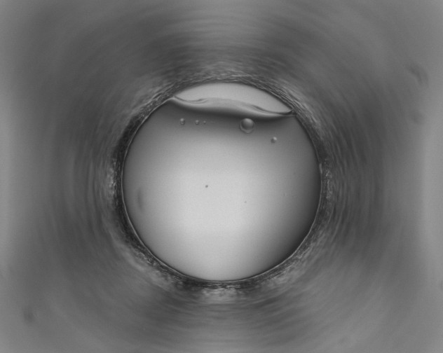 X0000111200362200907221135