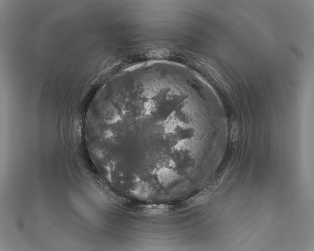 X0000111200363200907221135