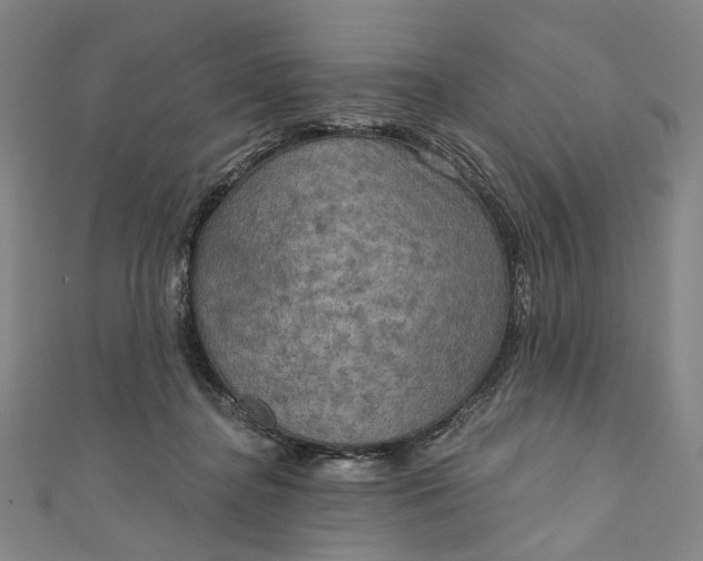 X0000111200364200907221135