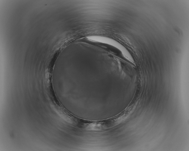 X0000111200366200907221135