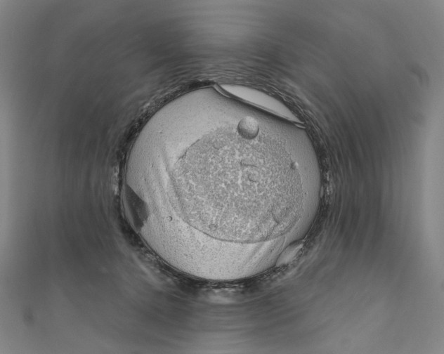 X0000111200368200907221135