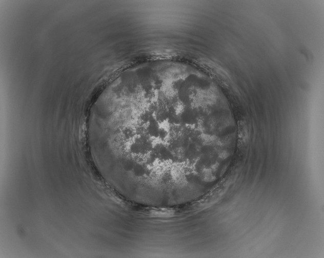 X0000111200369200907221135