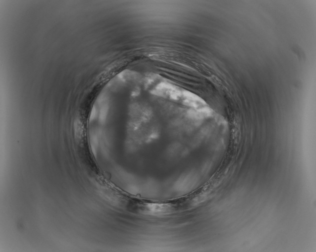 X0000111200371200907221135