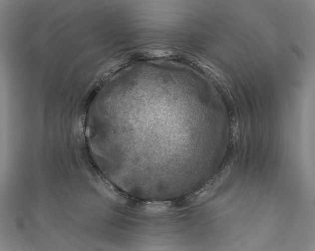 X0000111200373200907221135