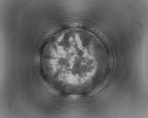 X0000111200375200907221135