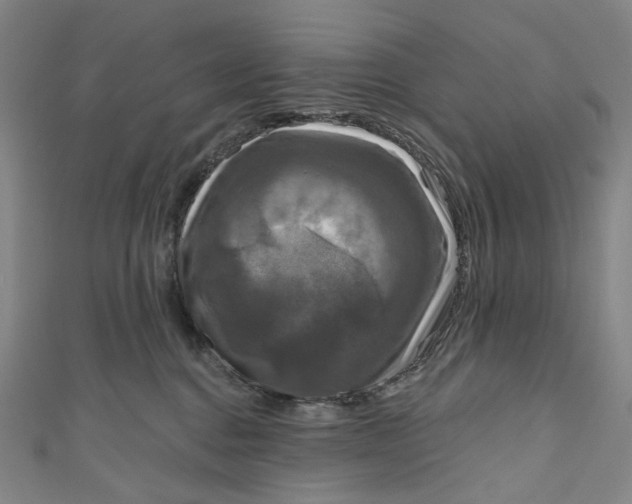 X0000111200376200907221135