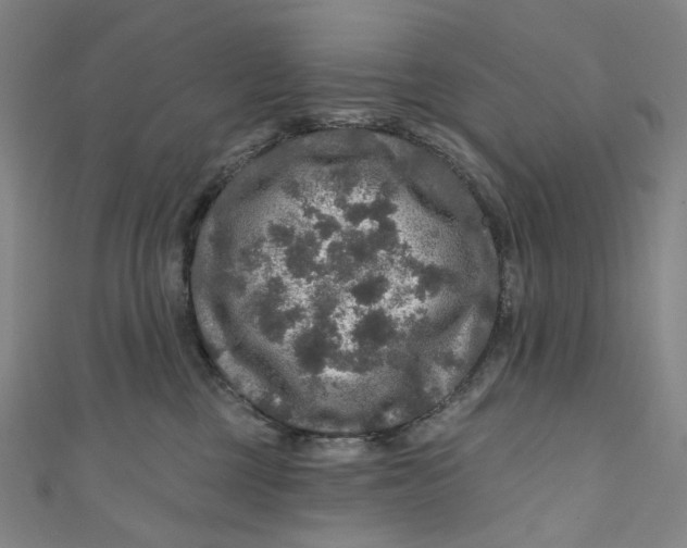 X0000111200377200907221135