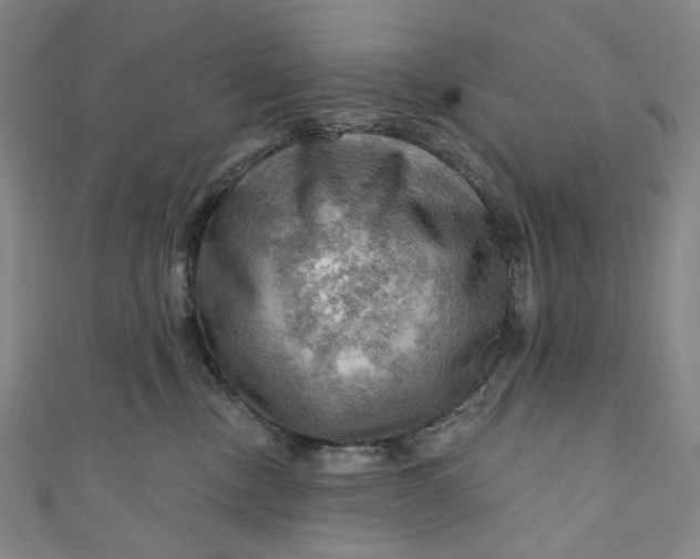 X0000111200378200907221135