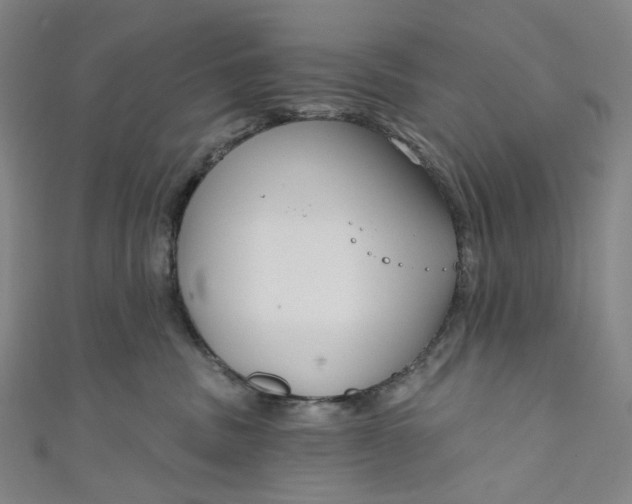 X0000111200379200907221135