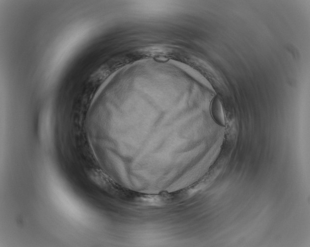 X0000111200381200907221135