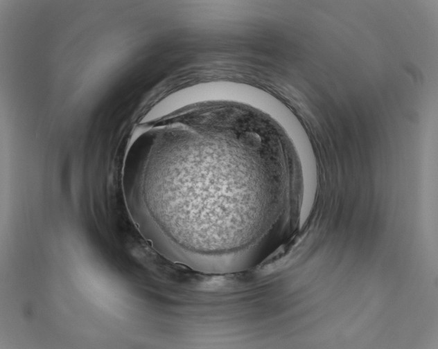 X0000111200382200907221135