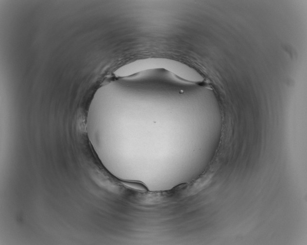 X0000111200384200907221135