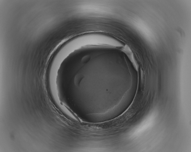 X0000111200387200907221135