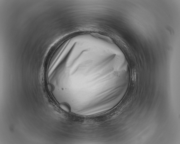 X0000111200388200907221135