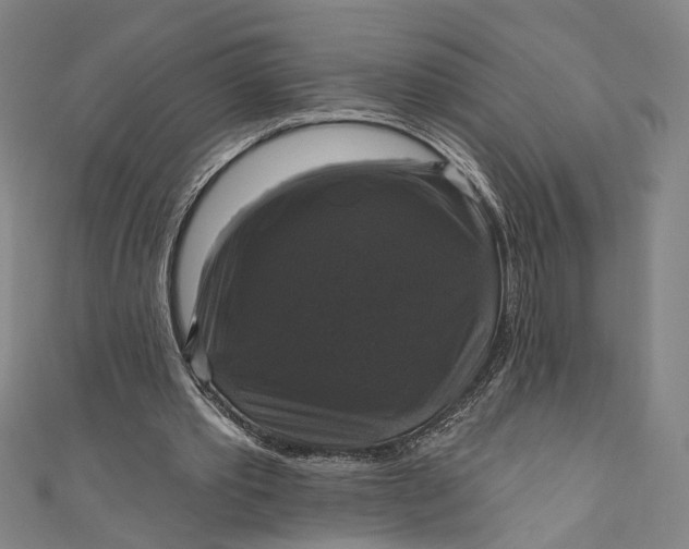 X0000111200389200907221135