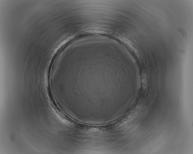 X0000111200390200907221135