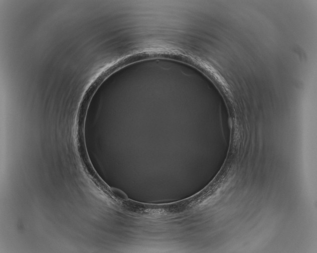 X0000111200391200907221135