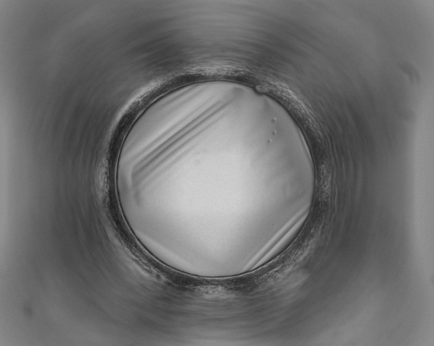 X0000111200392200907221135