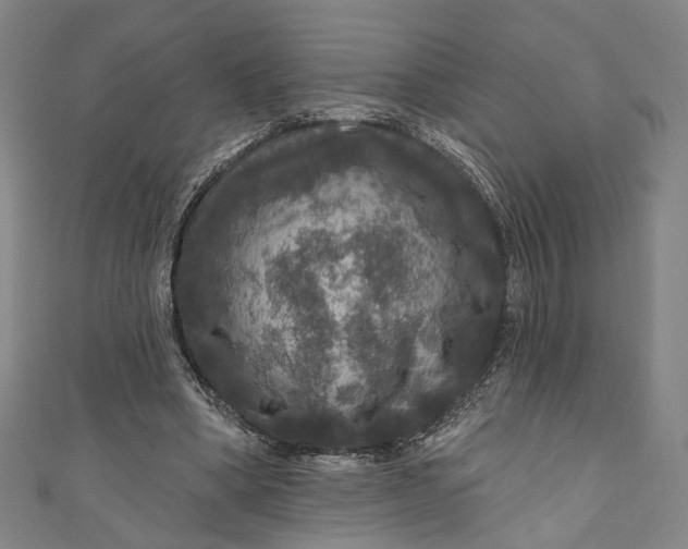 X0000111200394200907221134