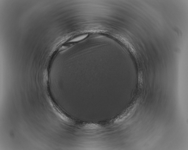 X0000111200397200907221134