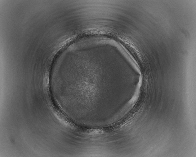 X0000111200398200907221134