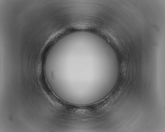 X0000111200400200907221134