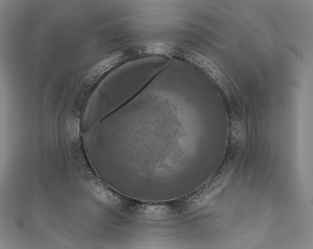 X0000111200401200907221134