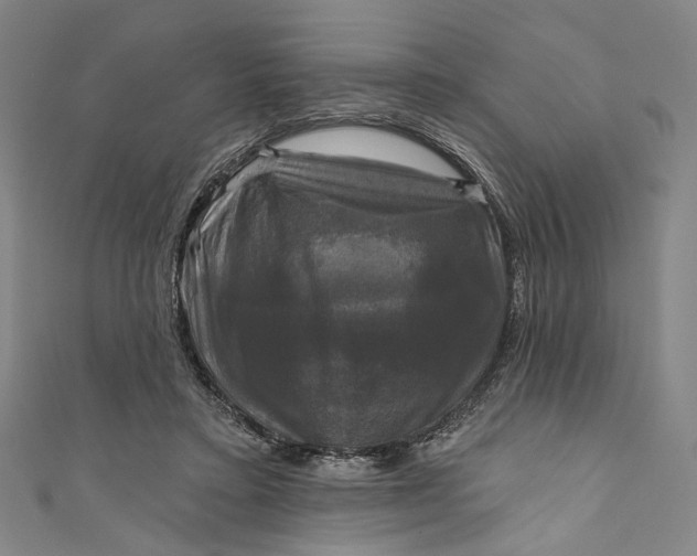 X0000111200403200907221134