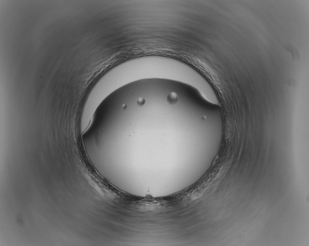 X0000111200405200907221134