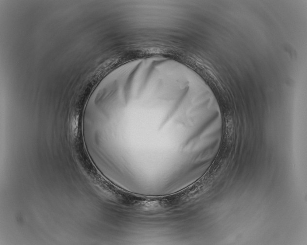 X0000111200406200907221134