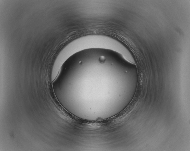 X0000111200409200907221134