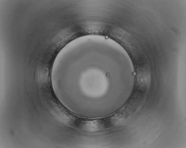 X0000111200411200907221134