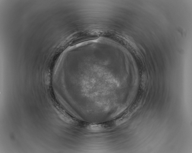 X0000111200413200907221134