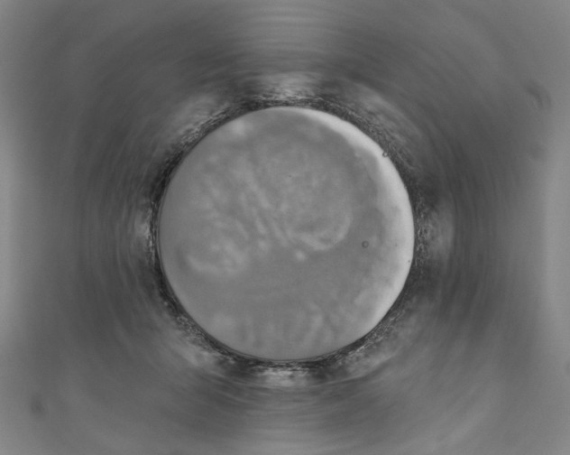 X0000111200415200907221134