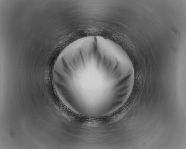 X0000111200416200907221134