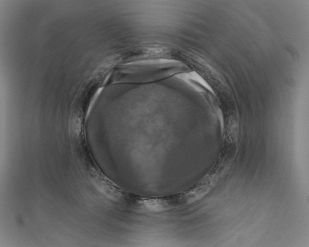 X0000111200417200907221134