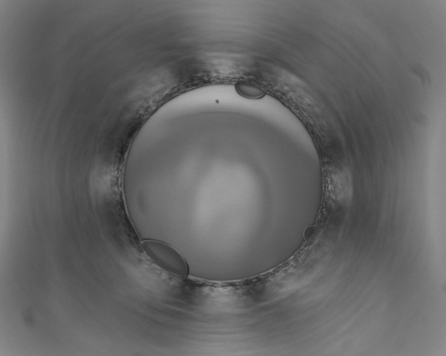 X0000111200419200907221134