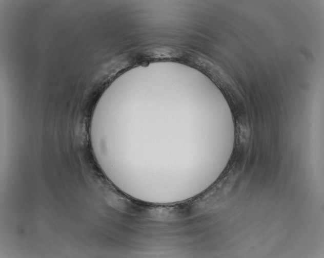 X0000111200422200907221134