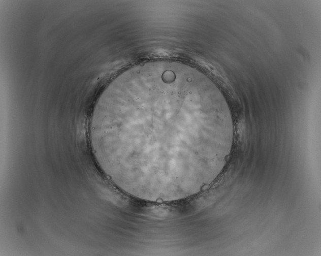 X0000111200423200907221134