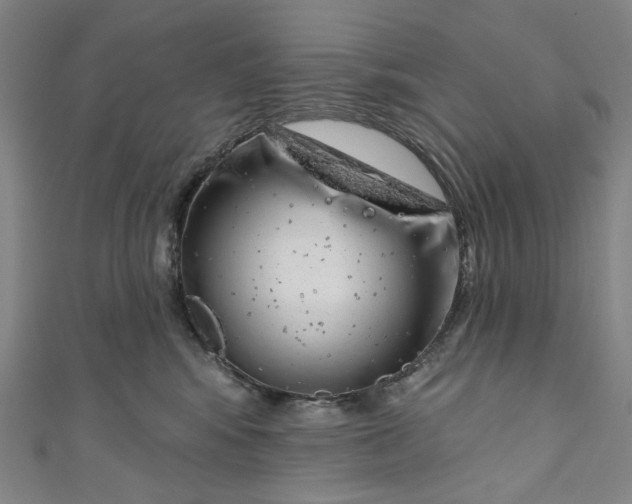 X0000111200424200907221134