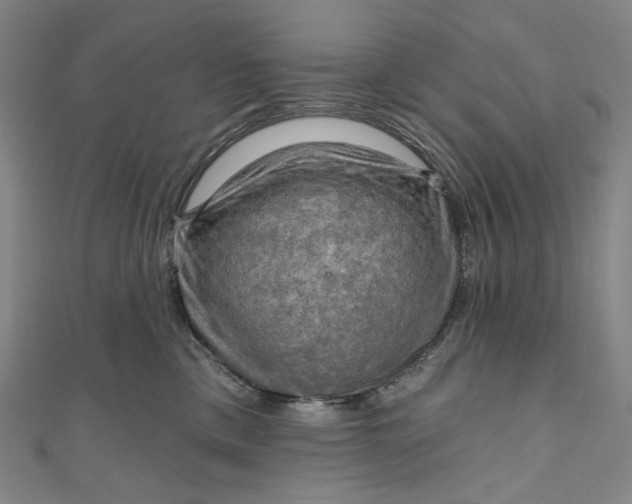 X0000111200425200907221134