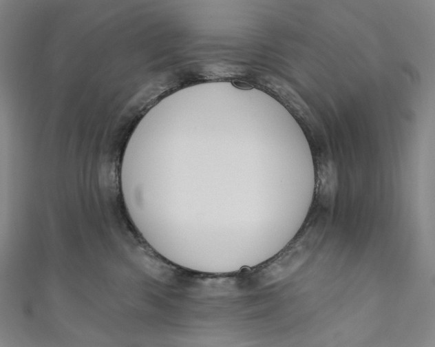 X0000111200426200907221134