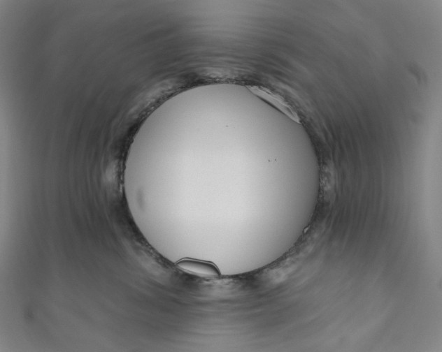 X0000111200428200907221134