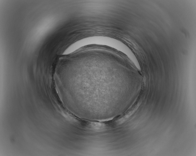 X0000111200429200907221134