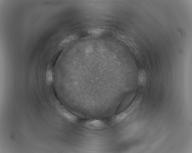 X0000111200431200907221134